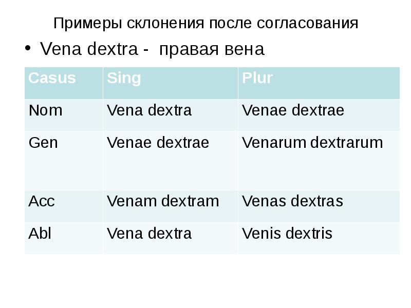 Примеры склонения после согласования Vena dextra - правая вена