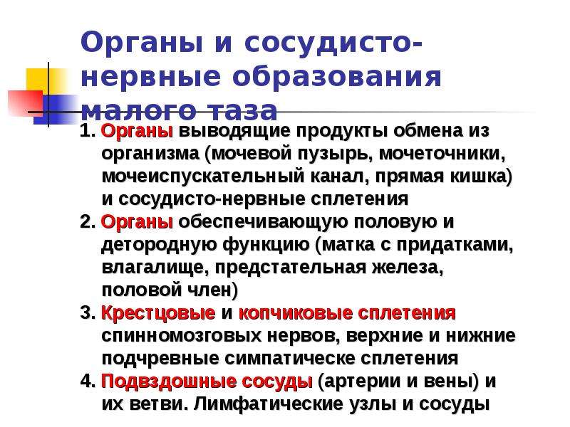 Образования мала. Сосудисто-нервные образования. Сосудисто нервное образование мало того таза.