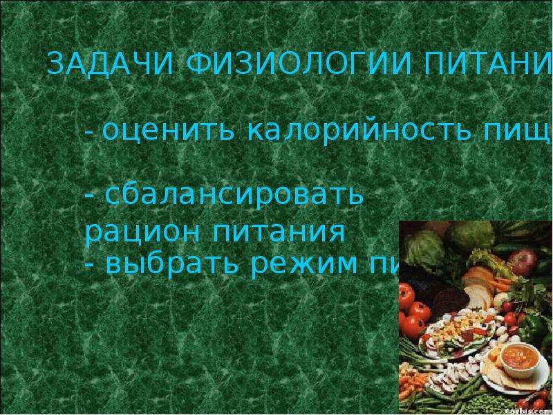 Питание 6. Задачи физиологии питания. Физиология питания предмет. Физиология питания презентация. Физиология питания задания по.