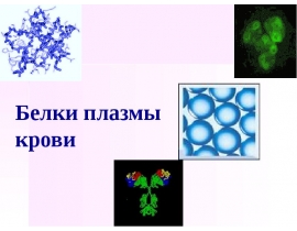 Белки плазмы крови
