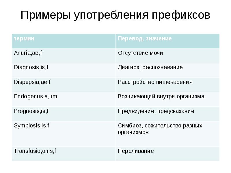 История русской медицинской терминологии презентация