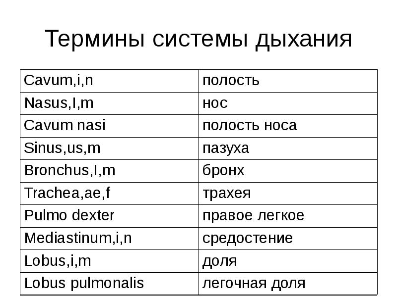 Что в переводе с латинского означает слово. Термины на латыни. Термины латинского языка. Латинские термины.