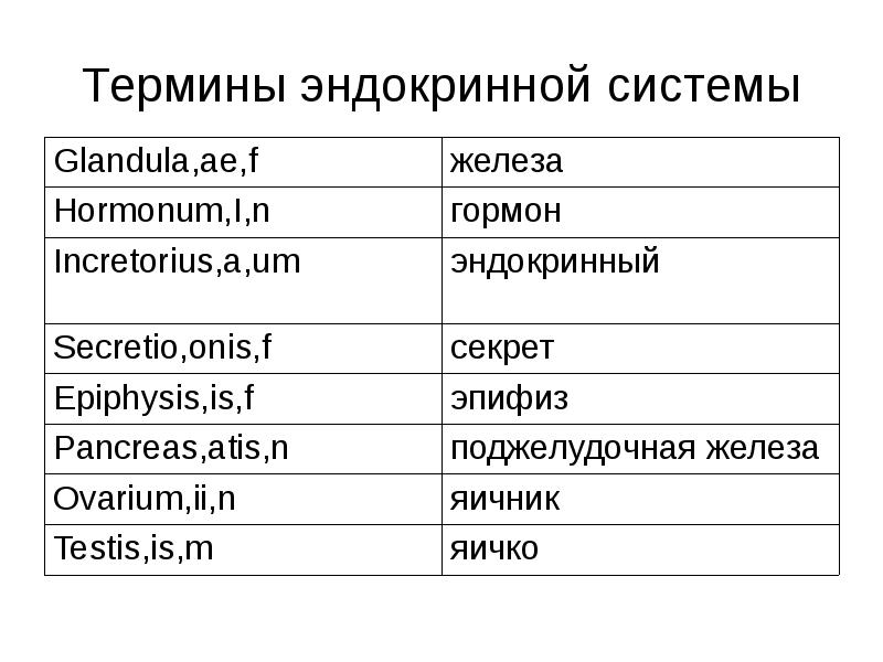 Плоскостное изображение органов