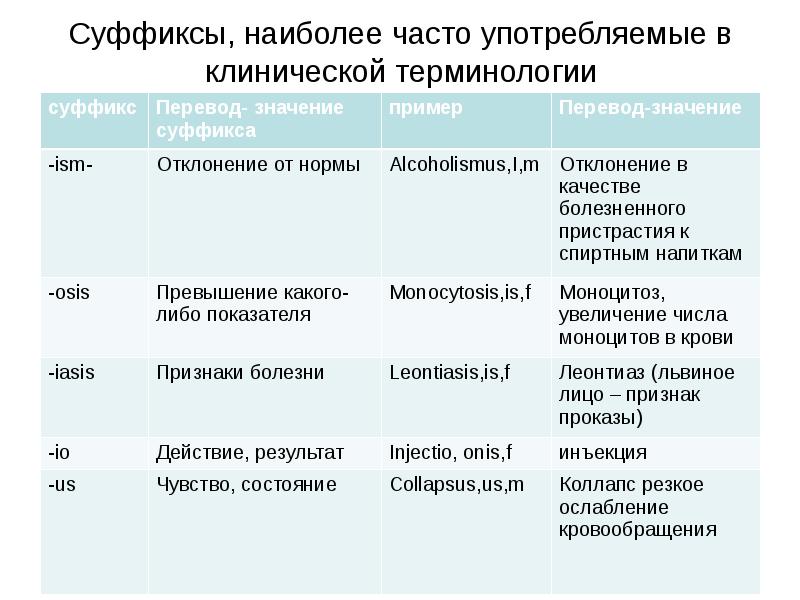 Структура терминов в латинском языке