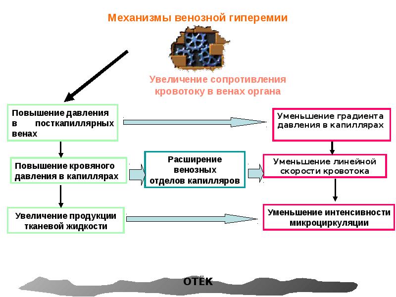 Артериальная гиперемия механизмы развития. Механизм развития венозной гиперемии патофизиология. Патогенез венозной гиперемии патофизиология. Последствия венозной гиперемии патофизиология. Нарушение регионарного кровообращения.