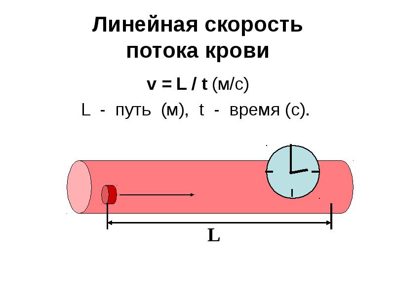 Скорость линейного потока