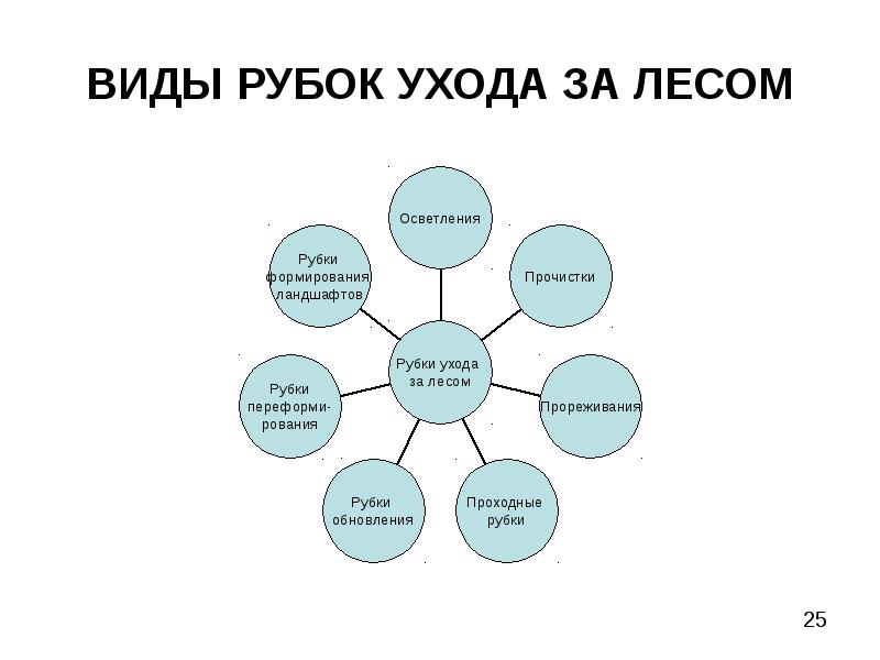 Виды ухода. Классификация рубок леса. Схема классификации рубок леса. Форма рубки лесных насаждений. Виды рубок ухода.