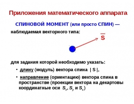 Спин