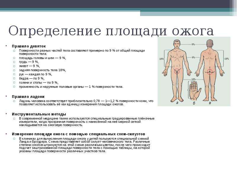 Процент поверхности тела. Площадь поражения при ожогах 2 степени. Площадь поражения правило девяток. Степень ожога правило девяток.