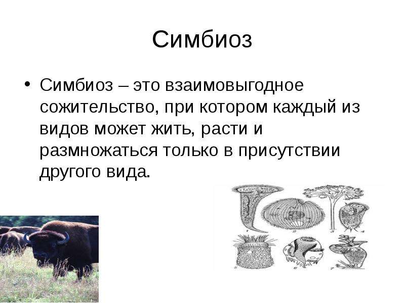 Симбиоз это. Симбиоз. Симбиоз это в биологии. Что такое симбиоз кратко. Что такое симбиоз в биологии 5 класс.