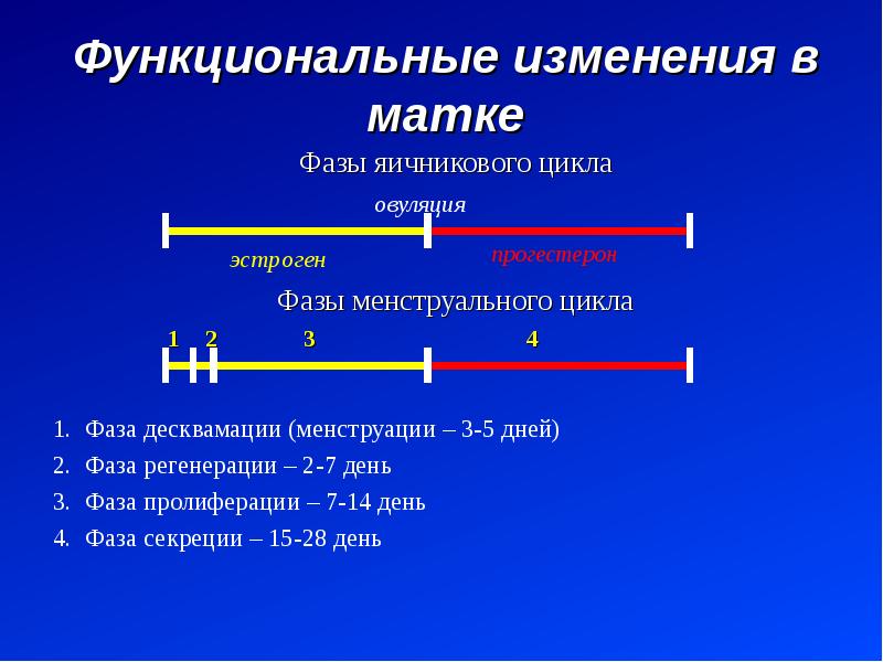 Функциональные изменения это