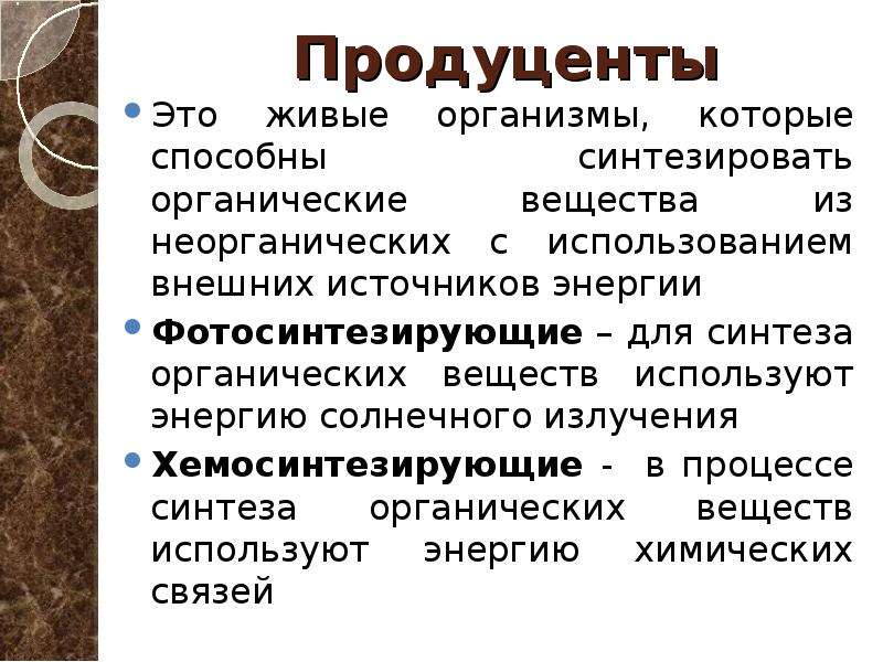 Организмы продуценты