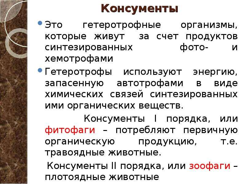 Консументы порядки