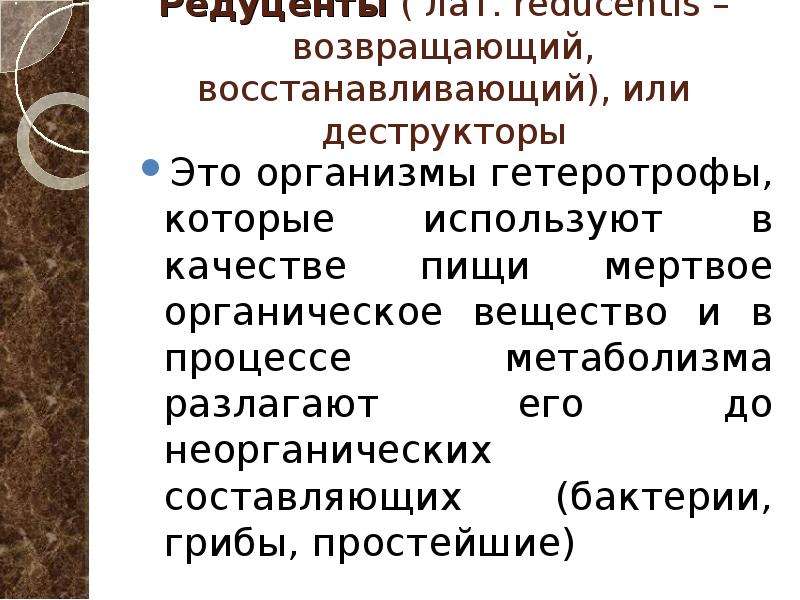 Мертвое органическое вещество. Организмы разлагающие органические вещества до неорганических. Деструкторы это в экологии. Организмы разлагающие Мертвое органическое вещество называются. Разлагать Мертвое органическое вещество..