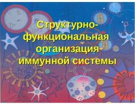 СТРУКТ-ФУНКЦ ОРГАНИЗАЦИЯ ИС