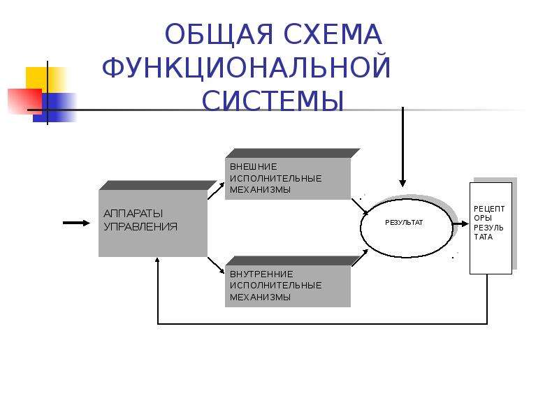 Функциональный механизм