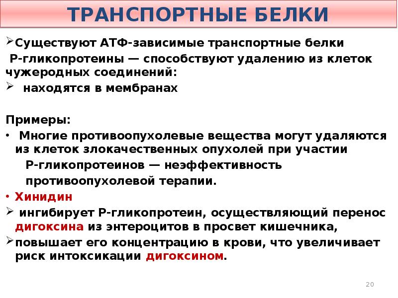 Транспортные белки