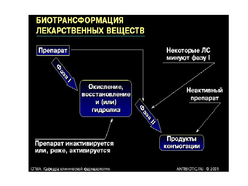 Фармакокинетика биотрансформация