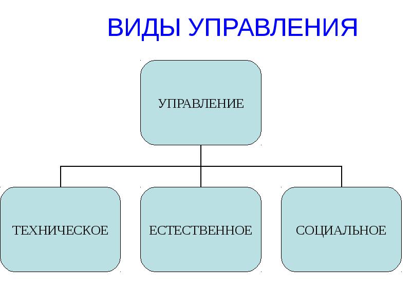 2 виды управления. Виды управления. Назовите виды управления. Виды управления в менеджменте. Управление виды управления.