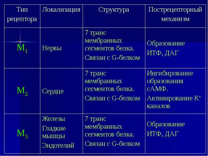 Альфа адренорецепторы локализация. Бета 1 и бета 2 рецепторы. Локализация рецепторов. М- И Н-холинорецепторы их локализация эффекты возбуждения. Адренергические рецепторы таблица.