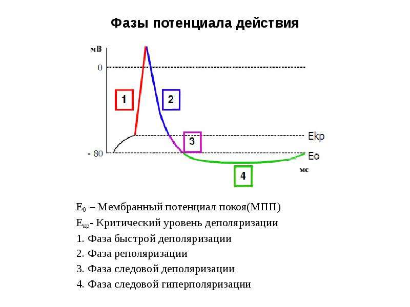 Критический уровень