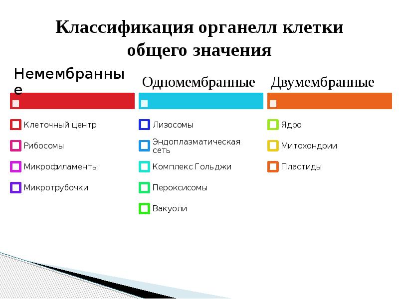 Классификация клеток