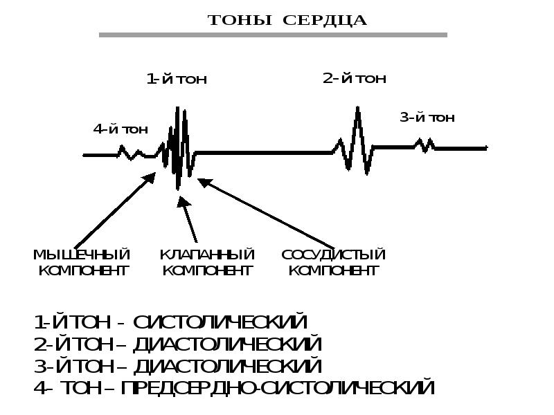 Цикл экг