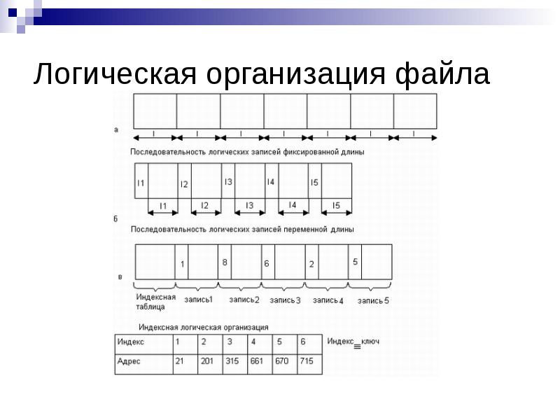 Логическая система. Логическая организация файла. Логическая организация файла кратко. Опишите и изобразите способы логической организации файлов. Индексная логическая организация.