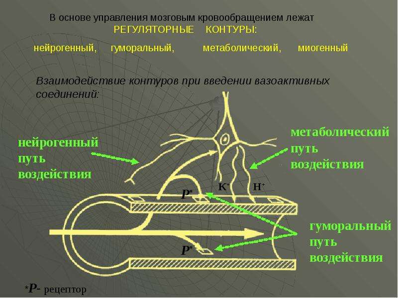 Основы хирургии нарушений регионарного кровообращения презентация