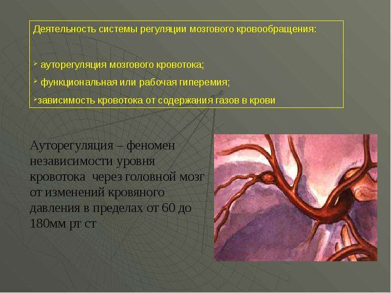 Основы хирургии нарушений регионарного кровообращения презентация