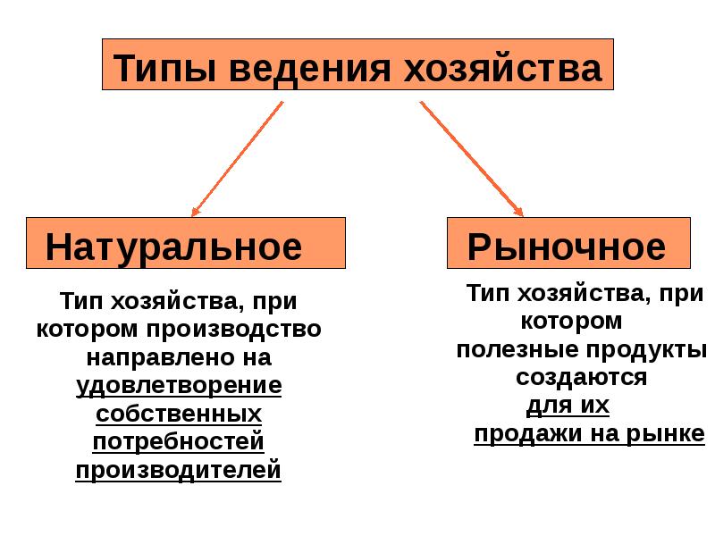 2 типа хозяйства. Типы хозяйства. Типы хозяйства в экономике. Типы ведения хозяйства. Типы ведения хозяйства в экономике.