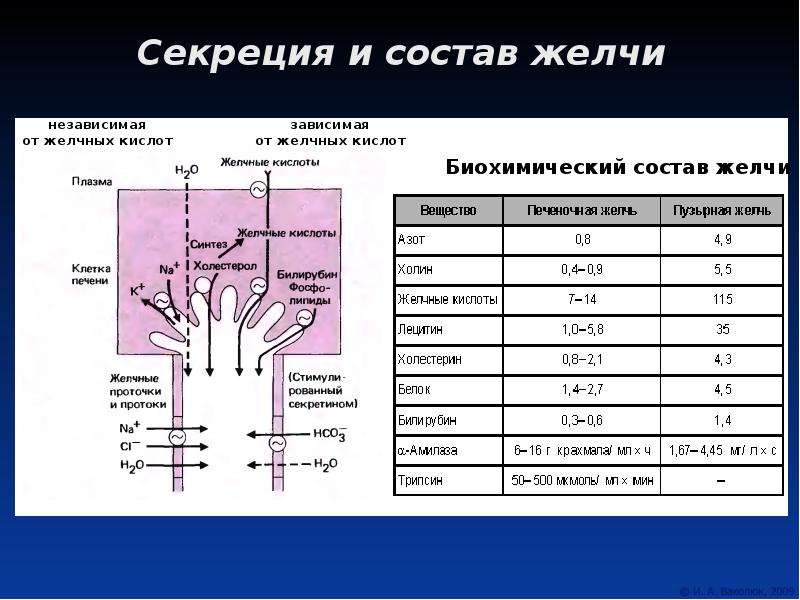 Колено температура