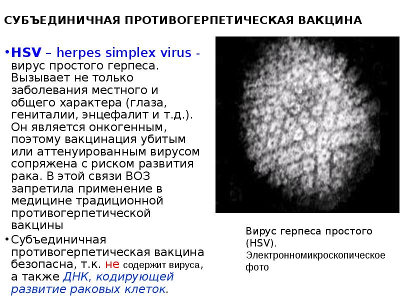 Herpes simplex 1 и 2