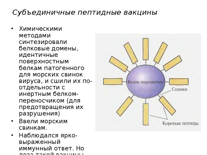 Вакцина проблема химикатов сталкер онлайн