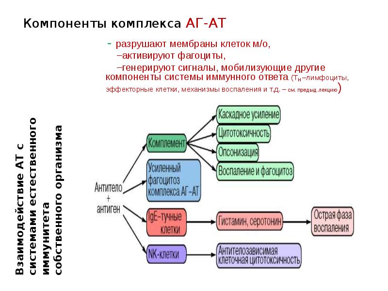 Компоненты комплекса