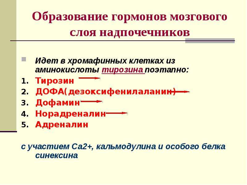 Гормоны мозгового слоя надпочечников презентация