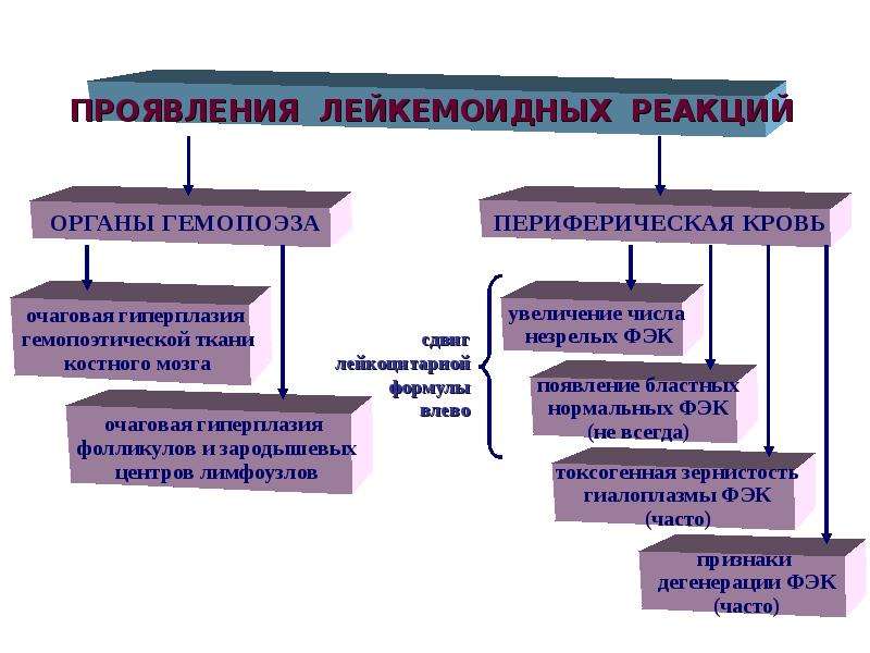 Механизм развития лейкопении