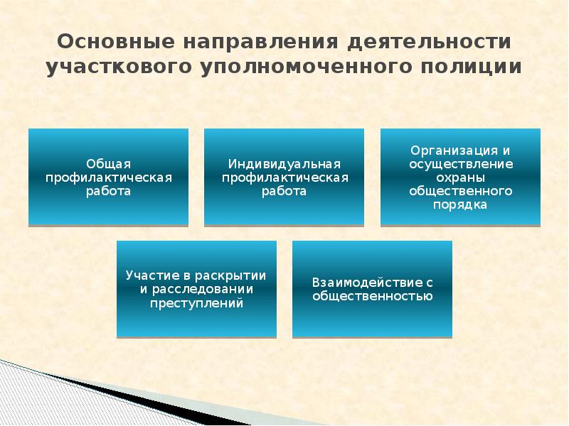 Деятельность участкового уполномоченного полиции