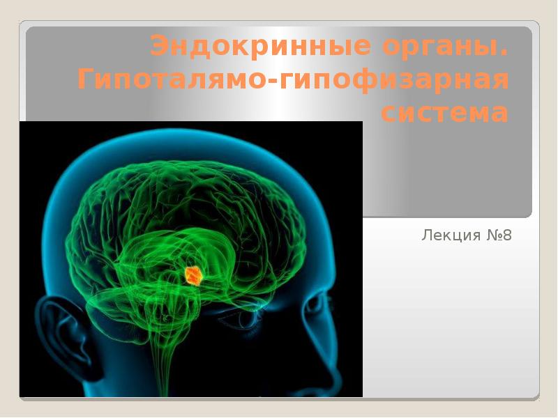 Доклад: Гормон роста