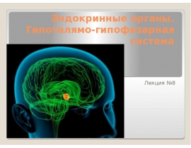 Эндокринные органы. Гипоталямо-гипофизарная система