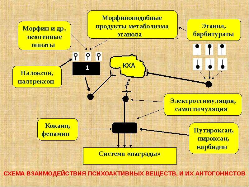 Схема взаимодействий веществ