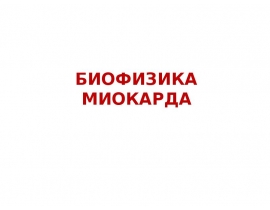 Сердечная мышца
