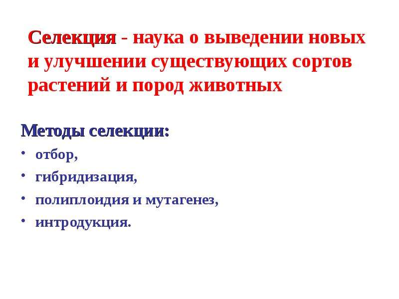 Наука о выведении новых пород