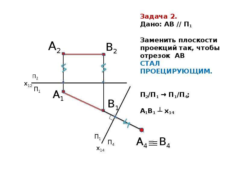 Проекция 30. Проекция отрезка на плоскость. 4 Метрическая задача. Отрезок прямой параллелен плоскости проекций п2. Замена плоскости п1.