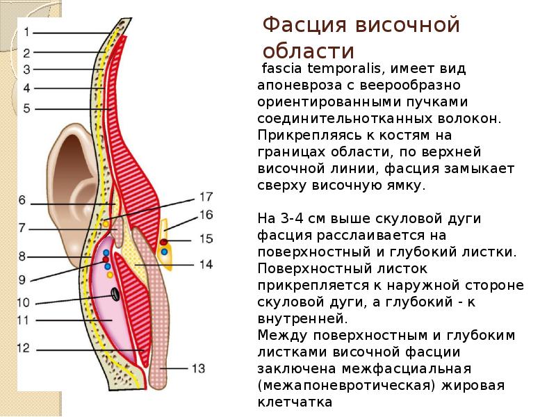 Стенки ямок