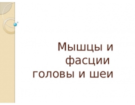 Мышцы и фасции головы и шеи