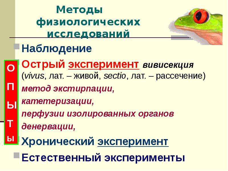 Острое наблюдение