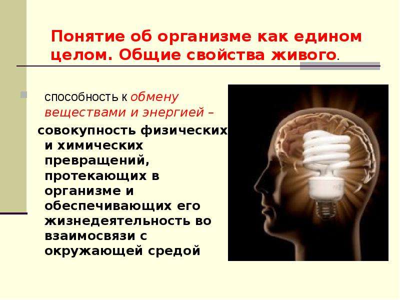 Понятие об организме 5 класс. Понятие об организме. Понятие об организме в целом Общие свойства живого. Понятие об организме как едином целом Общие свойства живого.