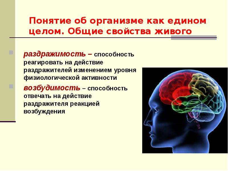 Понятие об организме. Раздражимость физиология. Способность организма реагировать на раздражитель. Понятие раздражимости и возбудимости. Раздражимость и возбудимость.