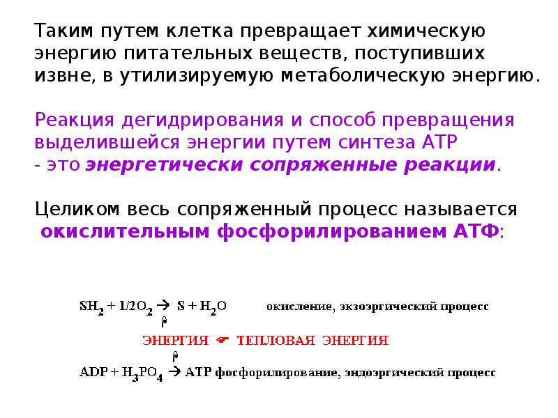 Дегидрирование веществ. Энергия из питательных веществ выделяется в процессе:. Основные пути превращения метаболической энергии в теплоту. Энергетически сопряженные реакции. Способа превращения питательных веществ в энергию.